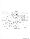 Coloriage chien boxer tenant un ballon de football dans sa gueule devant un but sur un terrain herbeux avec des nuages
