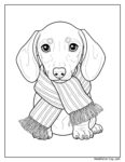 Dachshund puppy scarf coloring page featuring a cute puppy with large expressive eyes, sitting and wearing a fringed scarf around its neck.