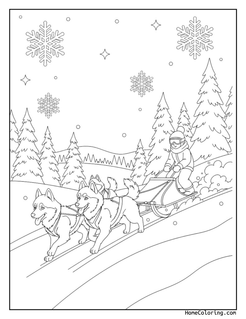 Husky dog sled winter coloring page showing a musher in winter gear riding a sled pulled by huskies through snowy trees and falling snowflakes.