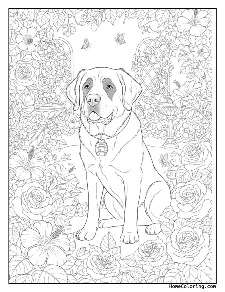 Saint Bernard flower garden coloring page featuring a friendly large dog sitting in a blooming garden with roses, hibiscus, butterflies, a birdcage, and a birdbath.
