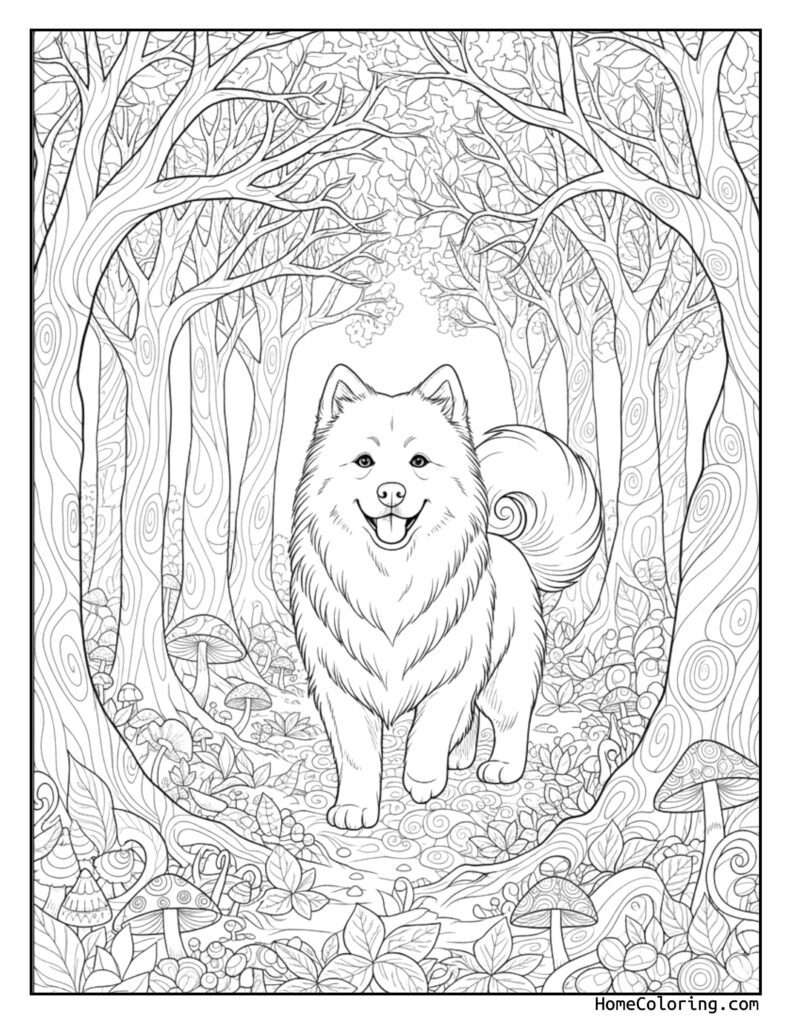 Samoyed magic forest coloring page featuring a fluffy dog with a curled tail standing in an enchanting forest surrounded by detailed trees, leaves, and mushrooms.